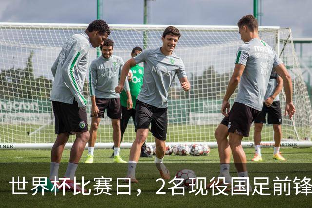 世界杯比赛日，2名现役国足前锋集体向C罗示“爱”