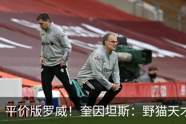 平价版罗威！奎因坦斯：野猫天才内线 存伤病隐患 罚球致敬米切罗