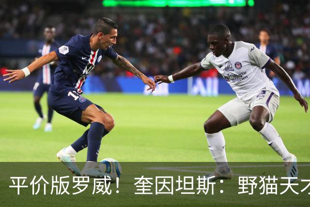 平价版罗威！奎因坦斯：野猫天才内线 存伤病隐患 罚球致敬米切罗